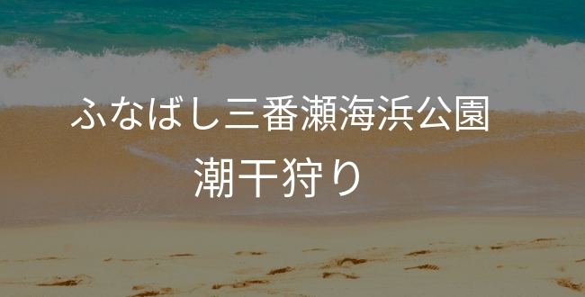 【潮干狩り】2019年ふなばし三番瀬海浜公園の混雑回避するには ...